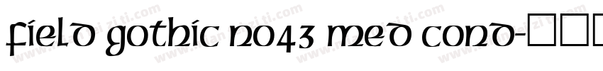 Field Gothic No43 Med Cond字体转换